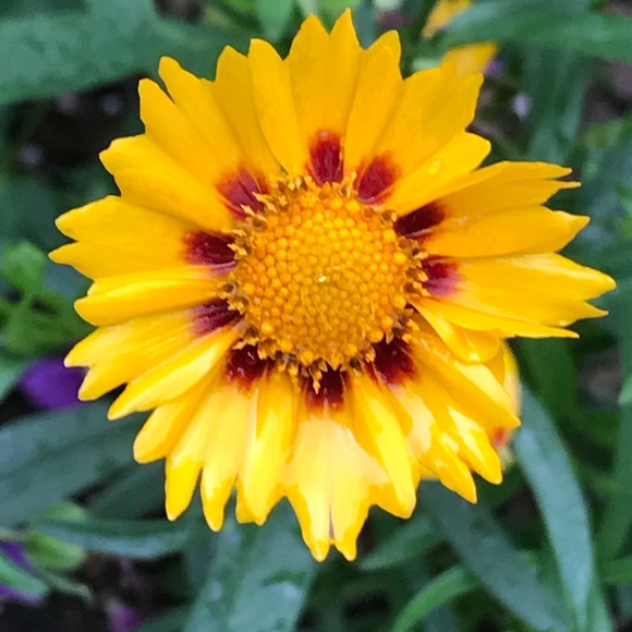 Meet your Posher, Michelle - Picture 2 of 2